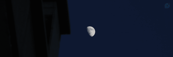 ‌‌ ‌  ‌  ‌𝓜𝓼.𝓜𝓪𝓭𝓶𝓪𝔃𝓮𝓵 ‌‌'s header picture