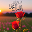 Profile picture of ‌ایرانیم مسلمان‌