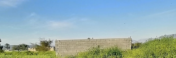 ‌مصطفی شیخی‌'s header picture