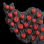 Profile picture of ‌F.kh‌