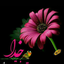 Profile picture of ‌فاطمه زمان زاده‌