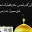 Profile picture of ‌Mt Ghafori‌