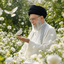 Profile picture of ‌Zeynab اصغری‌