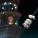 Profile picture of ‌Darya80‌