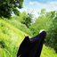 Profile picture of ‌دانش آموز رسانه ای ایرانی‌