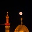 Profile picture of ‌شهریار شیخ لار‌