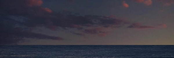 ‌شقایق‌'s header picture