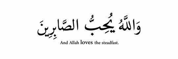 ‌مهدی‌'s header picture