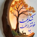 Profile picture of ‌یک رهگذر‌