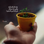 Profile picture of ‌Mohammad‌