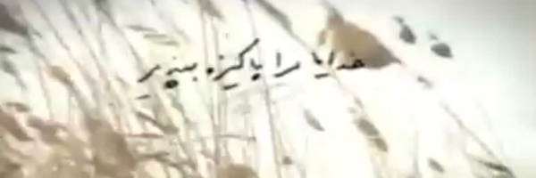 ‌امیر دین محمدی‌'s header picture