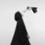 Profile picture of ‌حوّا 🚩‌