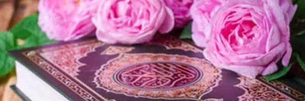 ‌علی محمدرضایی‌'s header picture