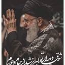 Profile picture of ‌خوبی گرگ این است که تنها حمله نمیکند‌