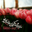 Profile picture of ‌A. Akbarian‌