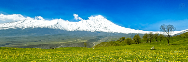 ‌mehdi zakarya‌'s header picture