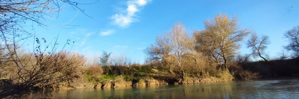 ‌مهدی نصرالهی‌'s header picture