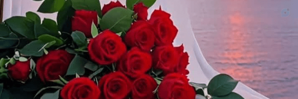 ‌Ali Sarabi‌'s header picture