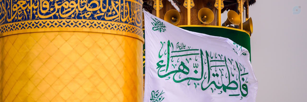 ‌Nima Moghaddam‌'s header picture
