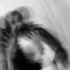 Profile picture of ‌Aɾαɱ"‌