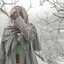 Profile picture of ‌ًN.zahra‌