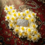 Profile picture of ‌مرضیه هواسی‌