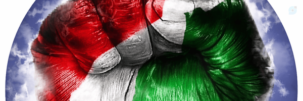 ‌محمود ولی زاده‌'s header picture