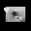 Profile picture of ‌𝓕𝓪𝓽𝓮𝓶𝓮𝓱¹³⁵ .‌