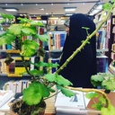 Profile picture of ‌اِلحان‌