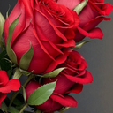 Profile picture of ‌پریسا‌