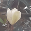 Profile picture of ‌mahbi,13‌