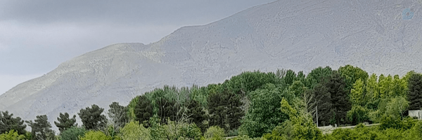 ‌Naghmeh‌'s header picture