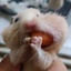 Profile picture of ‌Mani‌