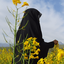 Profile picture of ‌فرزانه هاشمی‌
