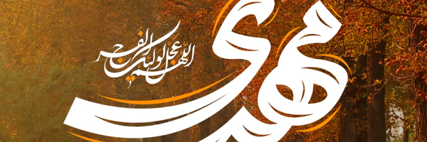 ‌☫ امین شادمان ;-)🇮🇷‌'s header picture