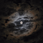 Profile picture of ‌KOSAR🌒🤍‌