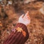 Profile picture of ‌fatemeh zahra‌