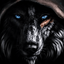 Profile picture of ‌DADA WOLF‌