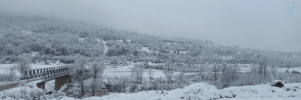 ‌Ari M.b26‌'s header picture