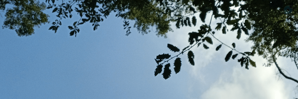 ‌ندا غلام پور‌'s header picture