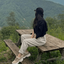 Profile picture of ‌•Negin°•‌
