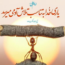 Profile picture of ‌سید بهشتی‌