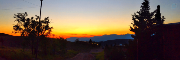 ‌L.M‌'s header picture
