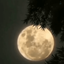 Profile picture of ‌IT‌