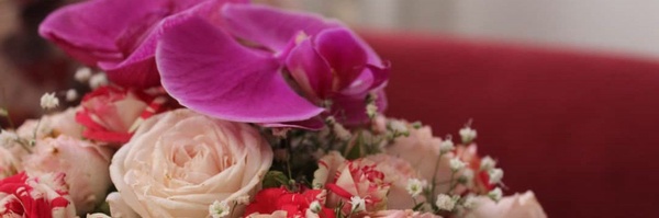 ‌Goli 💛‌'s header picture