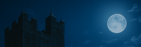 ‌حمیدرضا میرحسینی‌'s header picture
