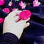 Profile picture of ‌M rajabi‌