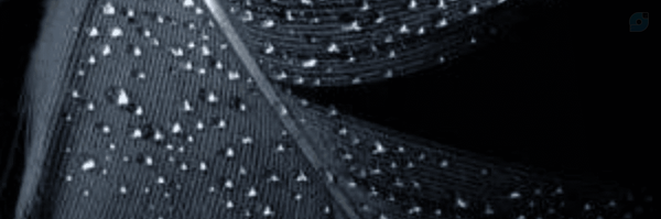 ‌محمد شعبانی جهرمی‌'s header picture