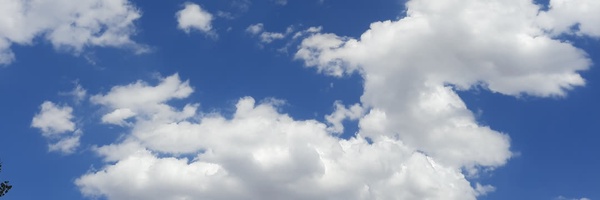 ‌ز♡ـرا‌'s header picture