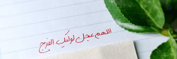 ‌🌱Sareh Taherzadeh‌'s header picture